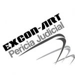 Pericia Judicial Excon-Art